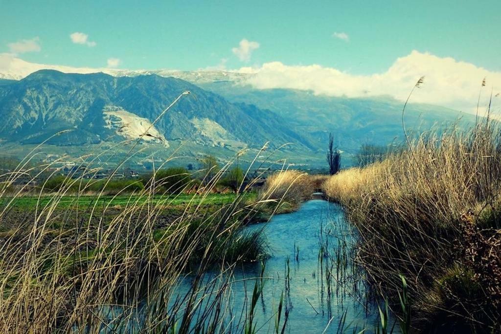 Cortijo De Geraneos *